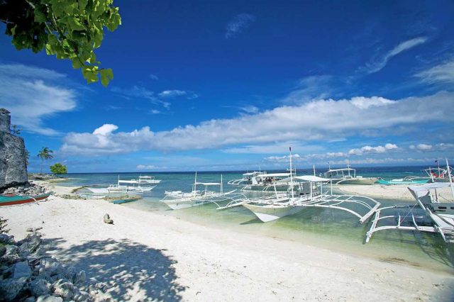 The Pamilacan Island Paradise Hotel - Great Discounts HERE! - Bohol ...