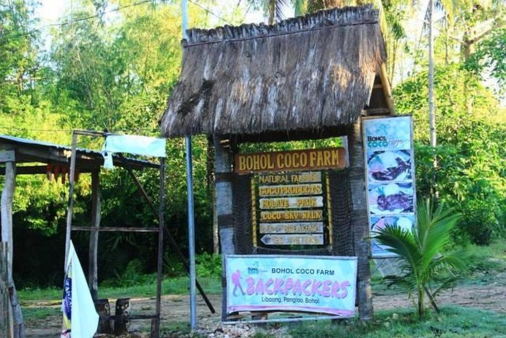 Lowest Affordable Rates At The Hostel Bohol Coco Farm, Panglao, Philippines! Book Now! 004