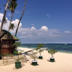 Discount Rates at The Domos Native Guest House Panglao Philippines