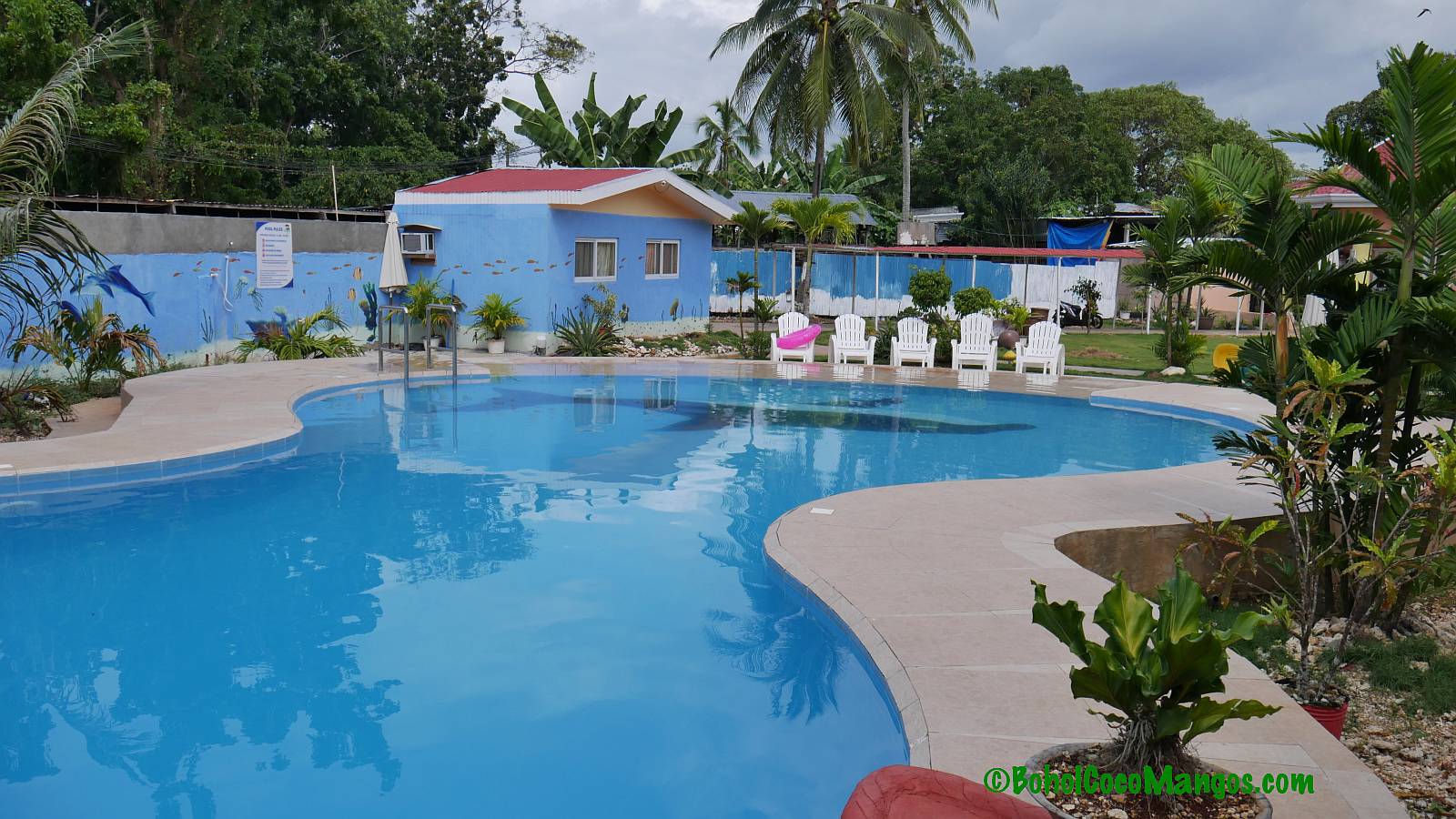 Coco Mangos Place Resort Panglao Bohol018