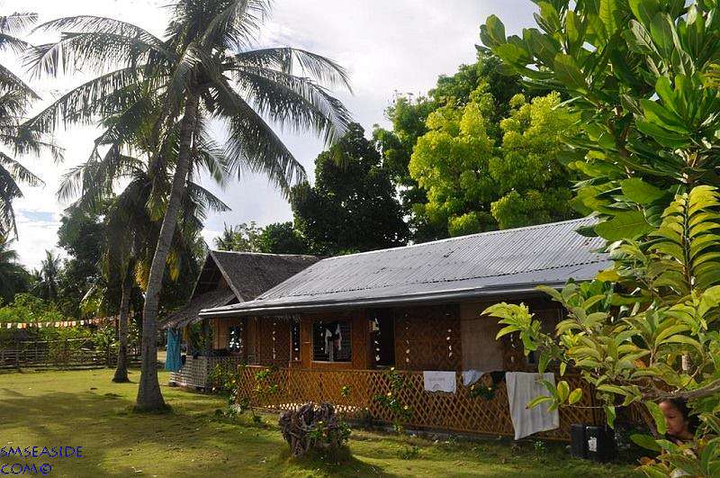 Junior And Nemesia’s Cottages Pamilacan Island Bohol Philippines 0001